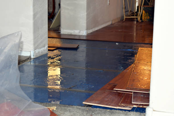 Professional Basement Flood Cleanup technician working in Passadumkeag, ME